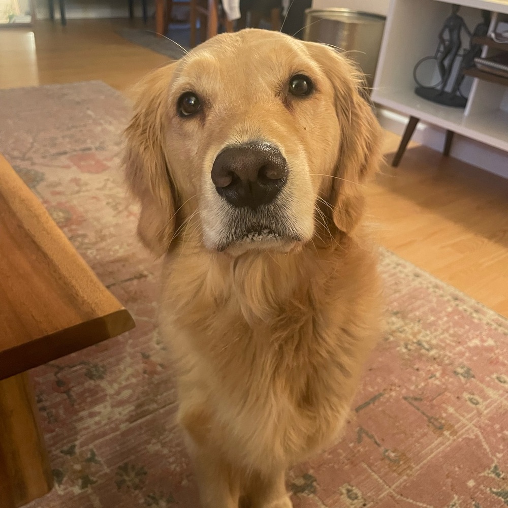 Meet your Posher, Katherine